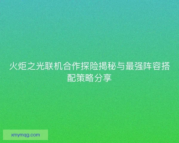 火炬之光联机合作探险揭秘与最强阵容搭配策略分享