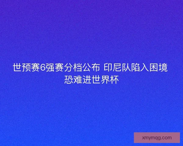 世预赛6强赛分档公布 印尼队陷入困境 恐难进世界杯