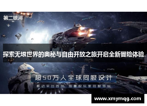 探索无垠世界的奥秘与自由开放之旅开启全新冒险体验