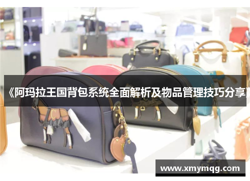 《阿玛拉王国背包系统全面解析及物品管理技巧分享》