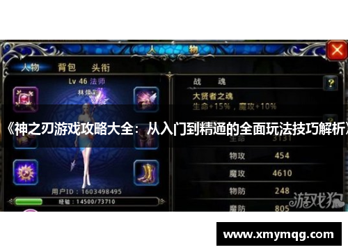 《神之刃游戏攻略大全：从入门到精通的全面玩法技巧解析》