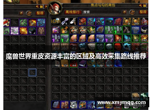 魔兽世界重皮资源丰富的区域及高效采集路线推荐