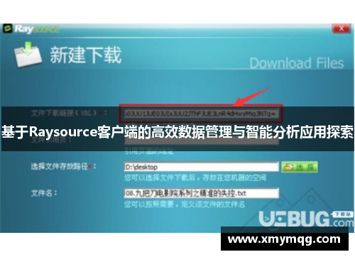 基于Raysource客户端的高效数据管理与智能分析应用探索
