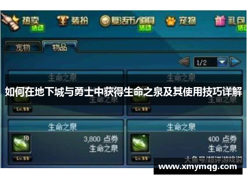 如何在地下城与勇士中获得生命之泉及其使用技巧详解